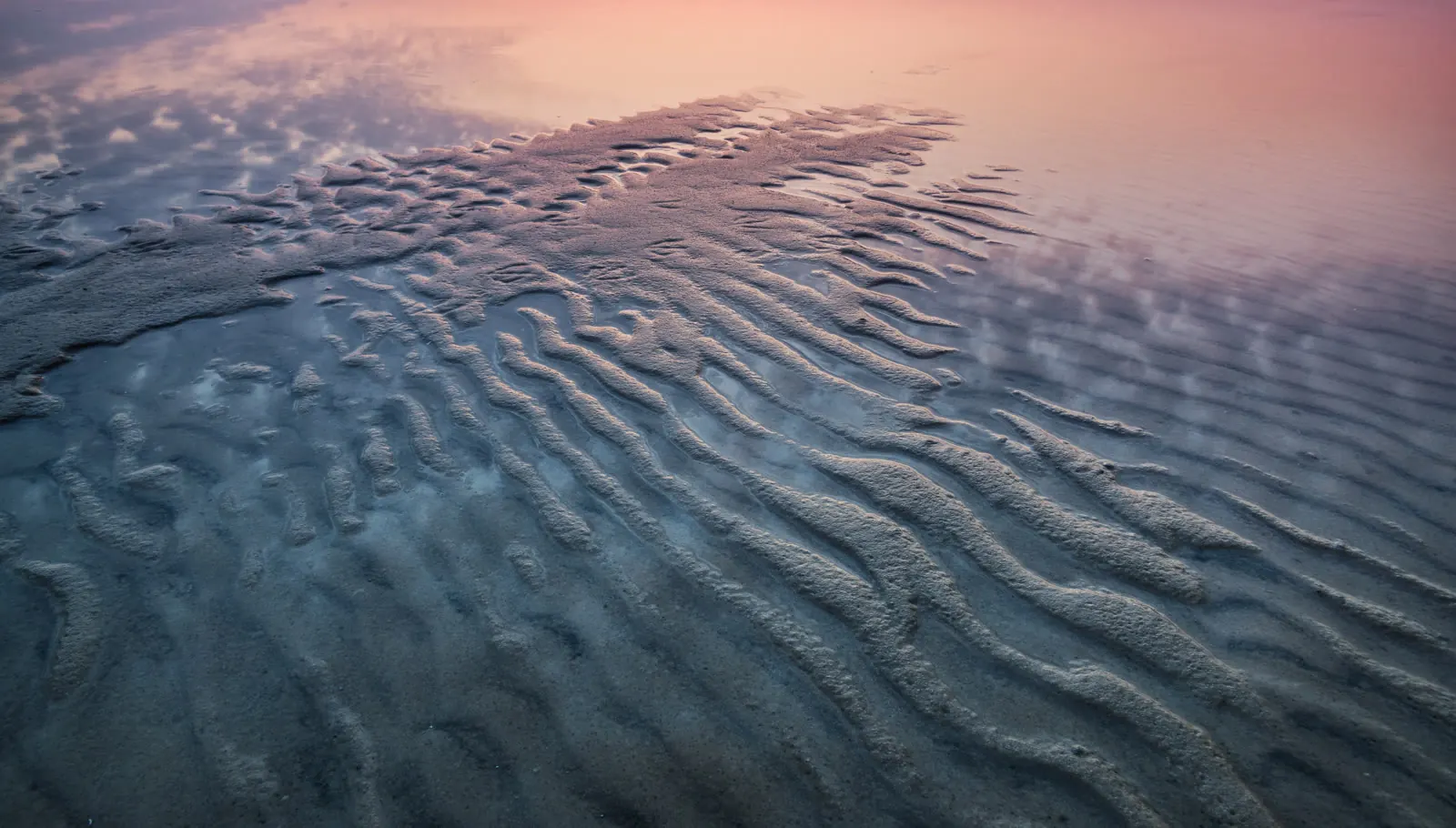 Gezeitenrippel im nassen Sand in der Abenddämmerung